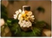 Flores e produtos naturais
