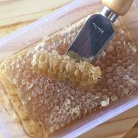 Favo de Mel Bandeja 300g