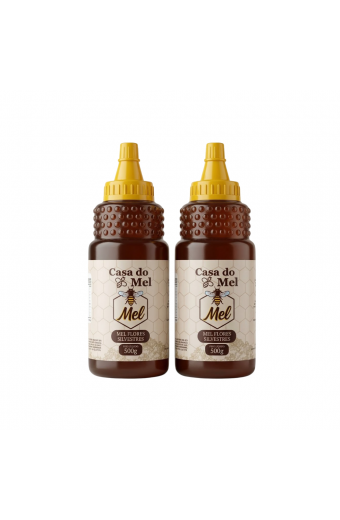 Kit 2 Mel Casa do Mel 500g Eucalipto