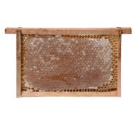 Favo de Mel In Natura - Direto no Quadro de Madeira 