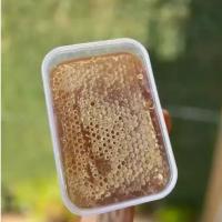 Favo de Mel Bandeja 300g