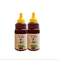 Kit 2 Mel Casa do Mel 500g Eucalipto