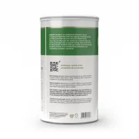 ISOFORT PLANT VITAFOR 450G BANANA COM CANELA